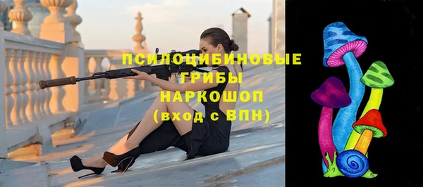 дмт Фёдоровский