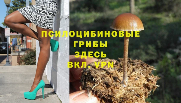 ешки Каменка
