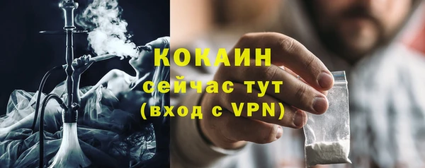 сатива Каменногорск