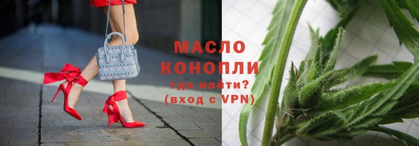 сатива Каменногорск