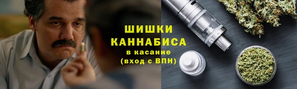 сатива Каменногорск
