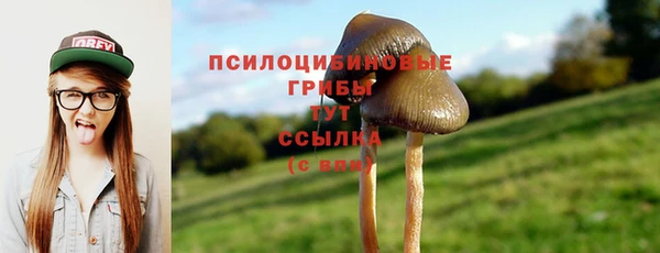 ешки Каменка