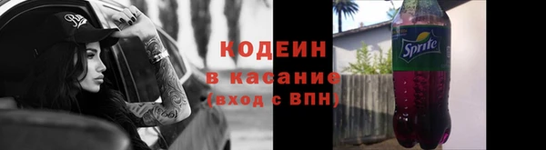 сатива Каменногорск