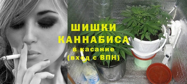 сатива Каменногорск