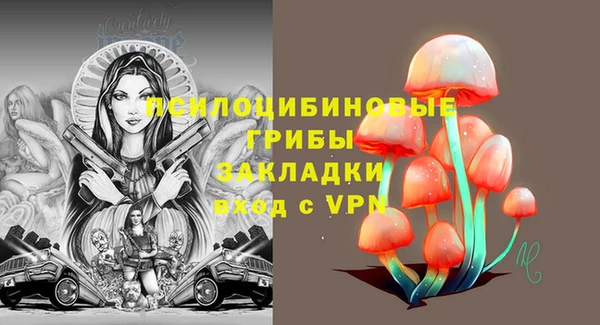 сатива Каменногорск