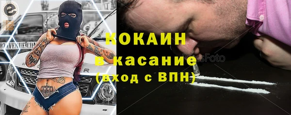 сатива Каменногорск