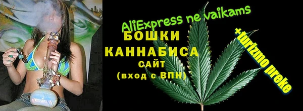 сатива Каменногорск