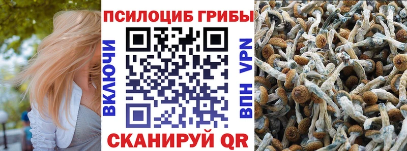 Галлюциногенные грибы Psilocybine cubensis Рыбное